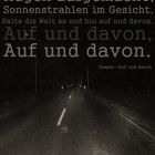 Auf und davon..