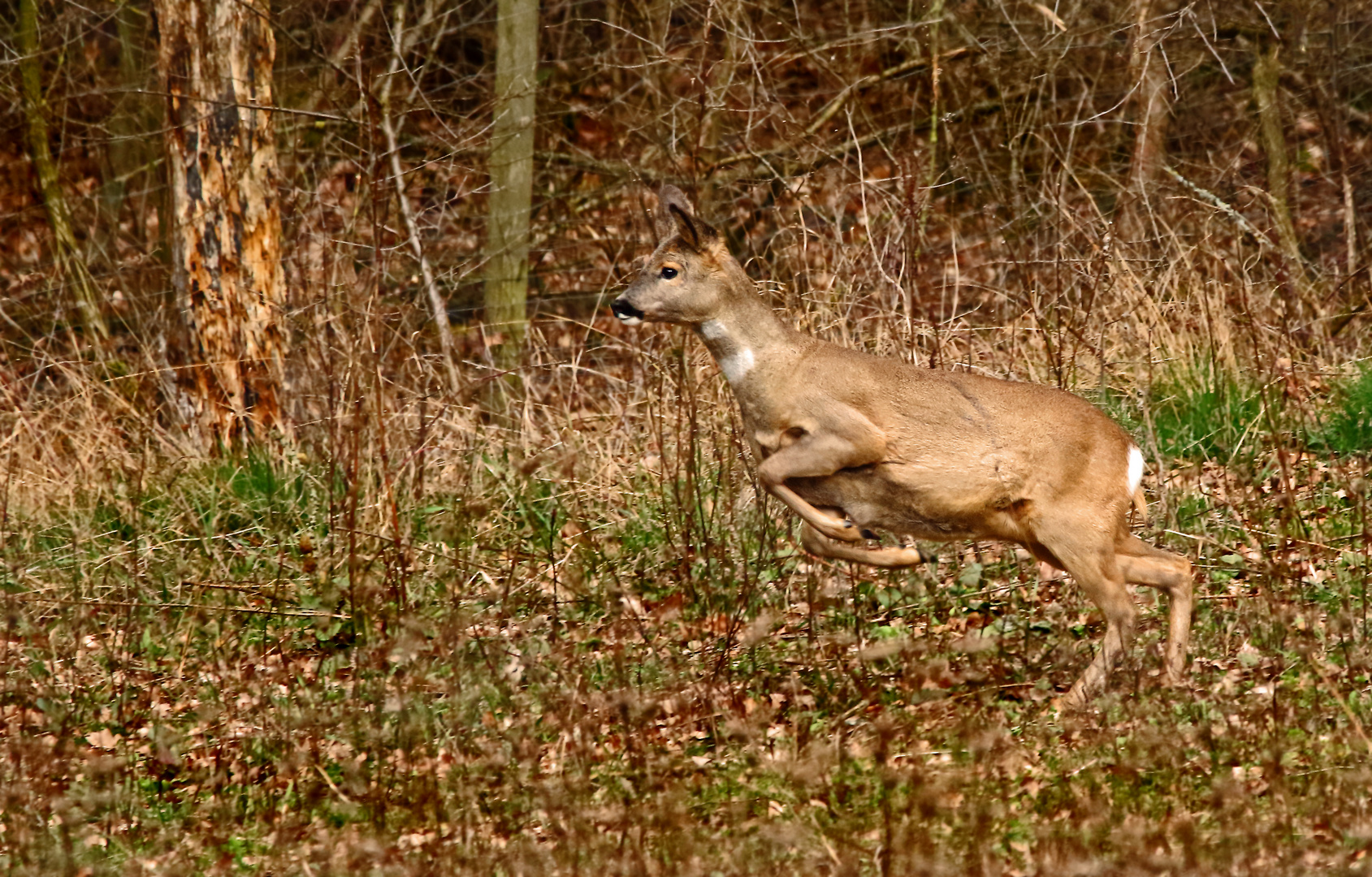 "Auf und davon .... " Dokubild