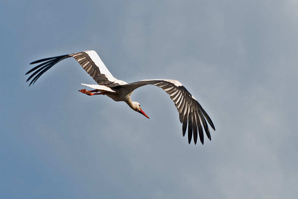 auf und davon, guten Flug! :-)