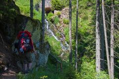 Auf und nieder, durch die Wutachschlucht