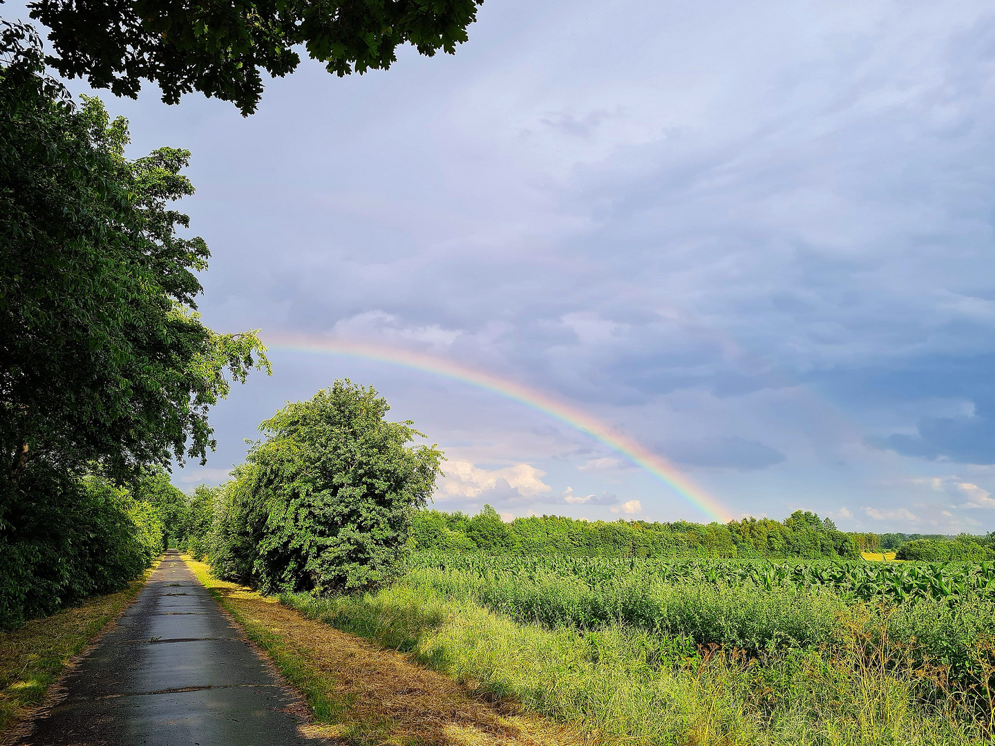 Auf unserer Fahrradtour...