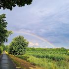 Auf unserer Fahrradtour...