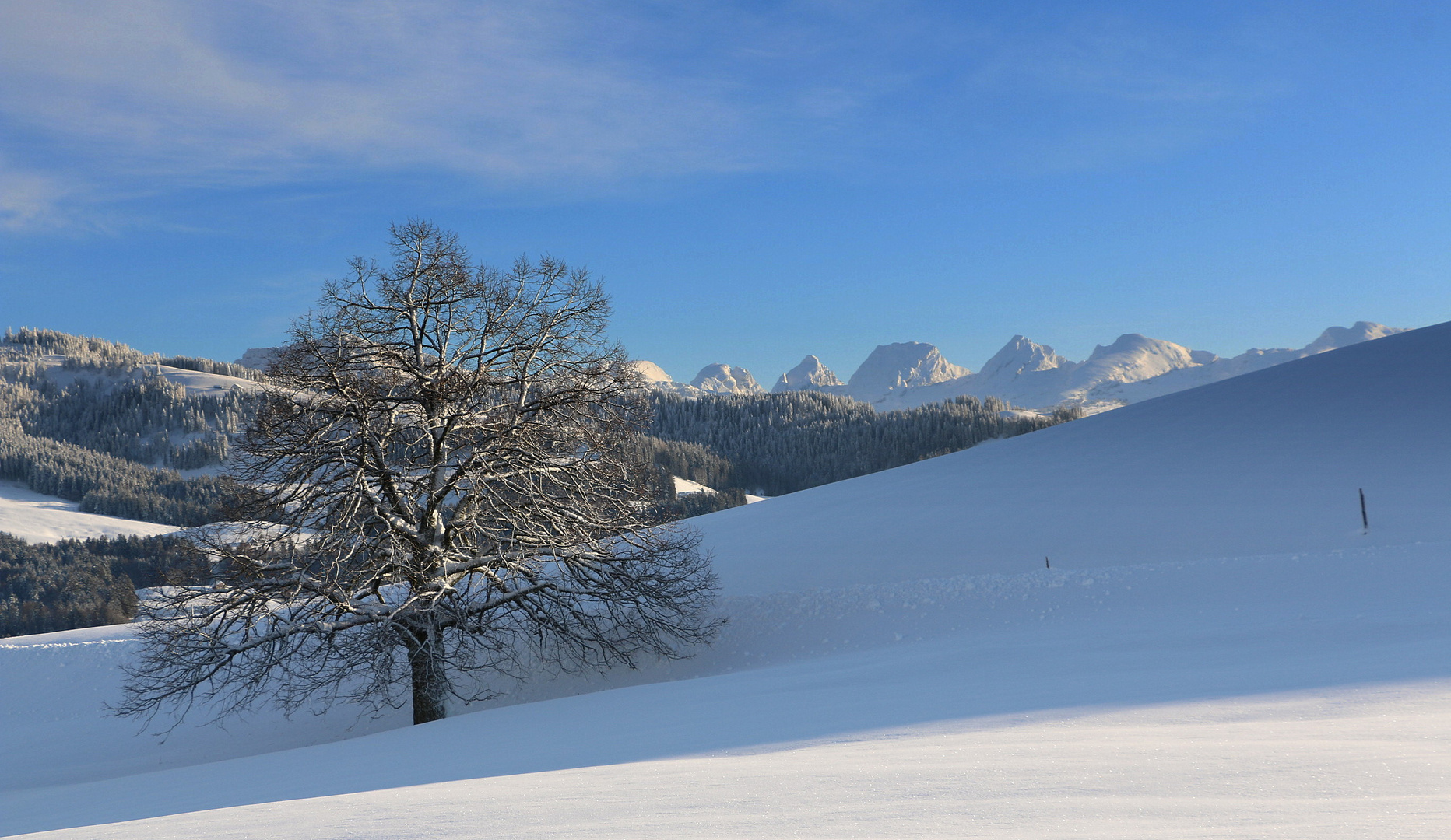 Auf unserer Winterwanderung.....