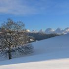 Auf unserer Winterwanderung.....