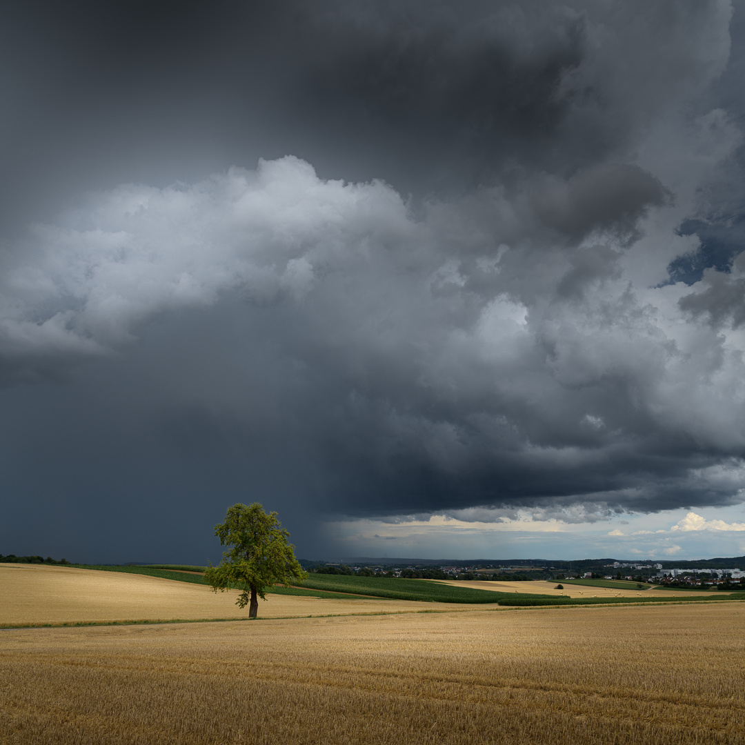 Auf Unwetterjagd...