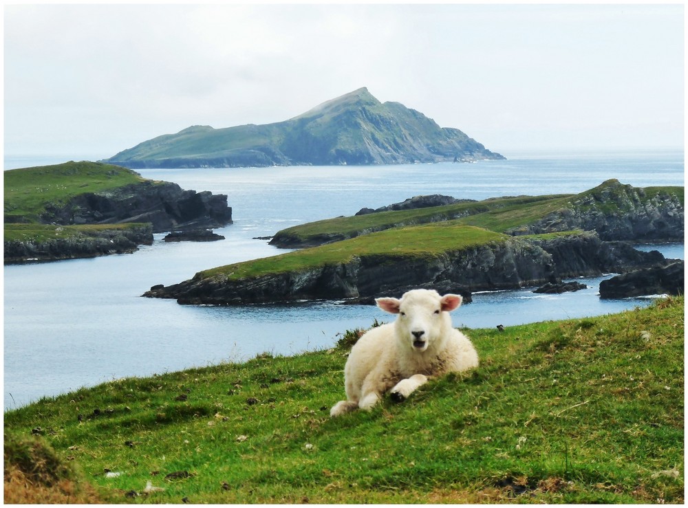 auf Valentia Island