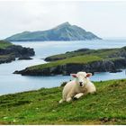 auf Valentia Island