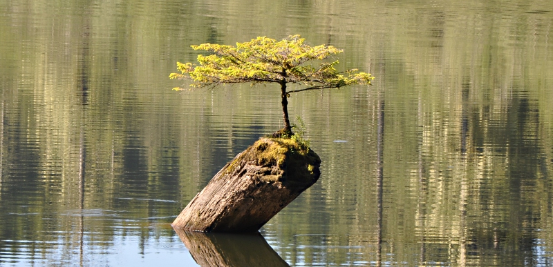 Auf verlorenem Posten ?