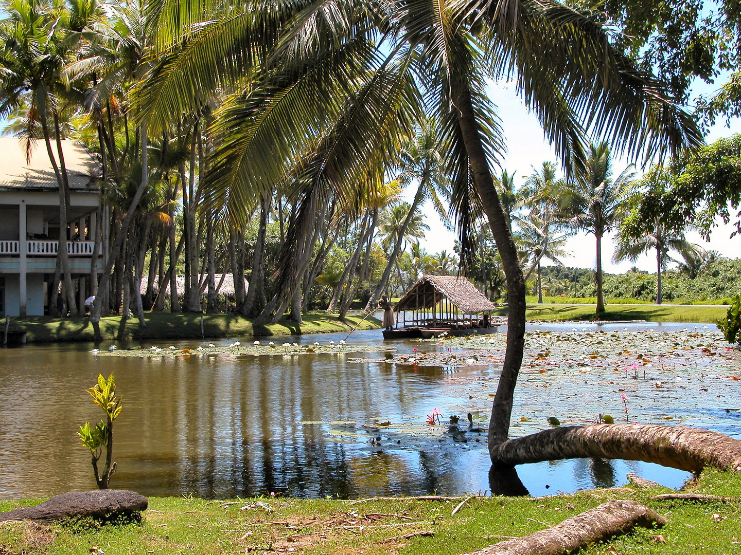 Auf Viti Levu / Fiji