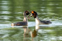 Auf Vogelerkundungstour