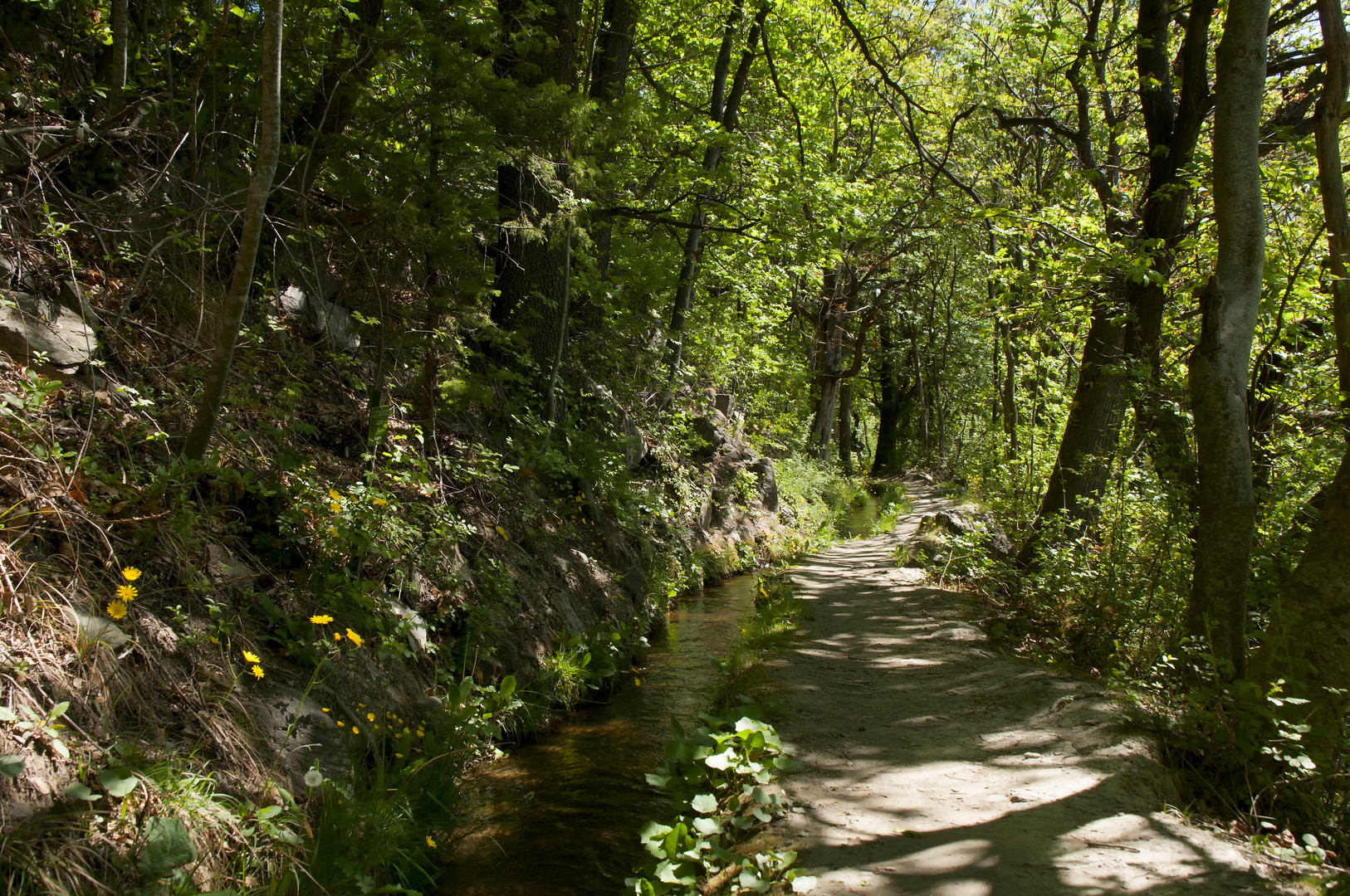 Auf Waalwegen am Vinschgauer Sonnenberg