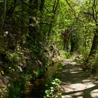 Auf Waalwegen am Vinschgauer Sonnenberg