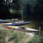 Auf Wanderfahrt - Kleinfuss im Oberrheingebiet bei Rastatt