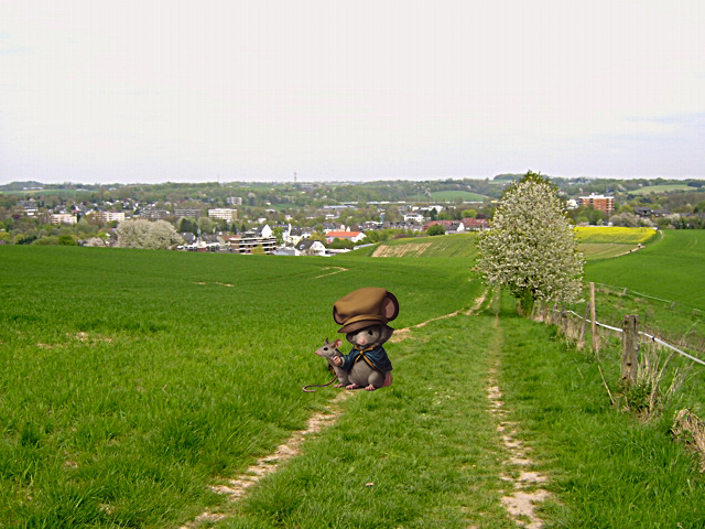 Auf Wanderschaft 