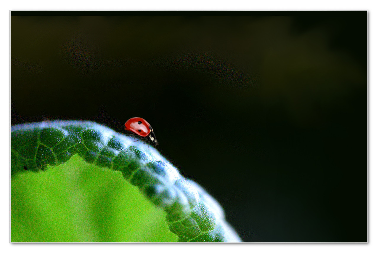 Auf Wanderschaft ...