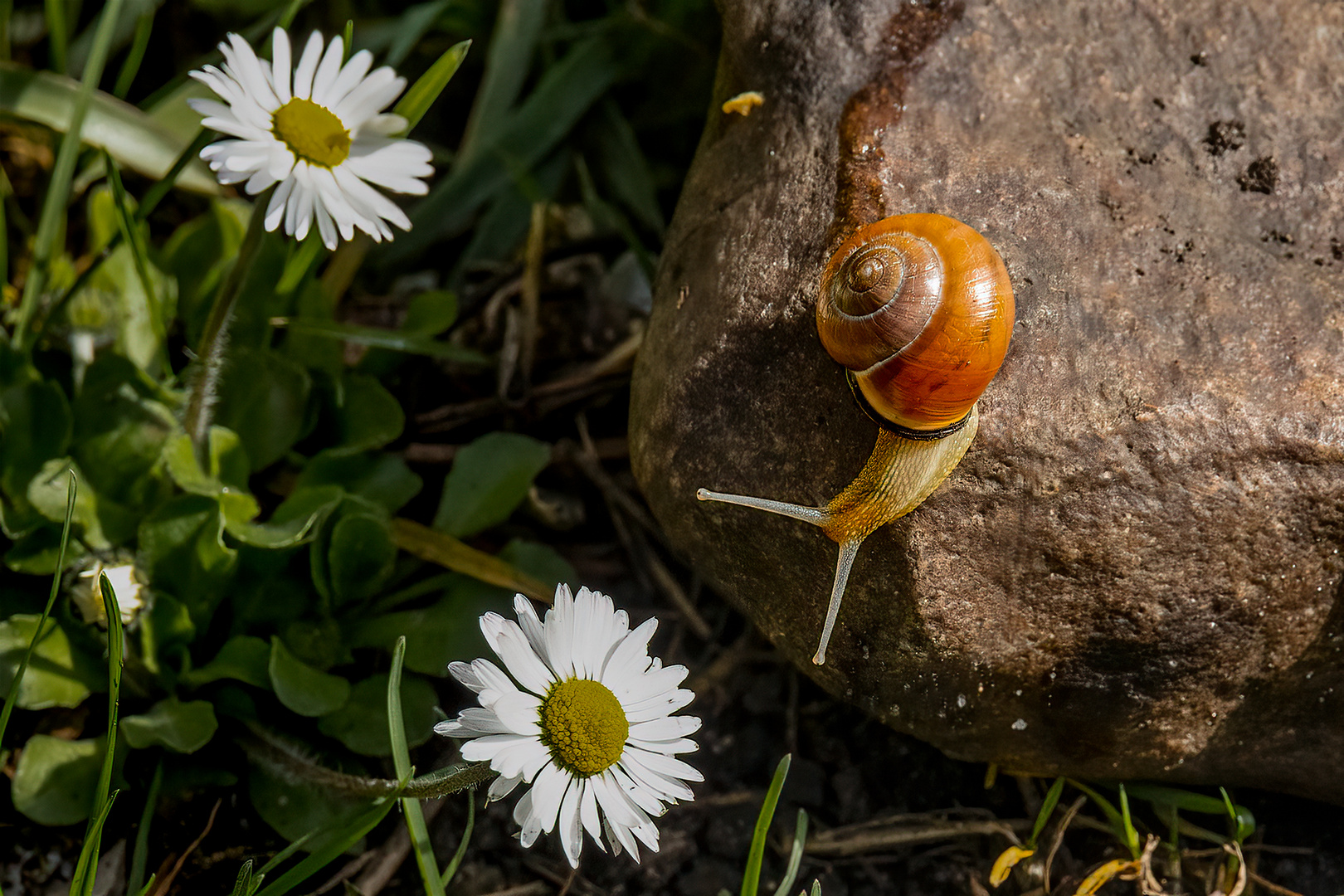 Auf Wanderschaft