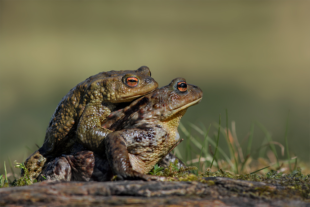 Auf Wanderschaft