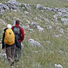 Auf Wanderschaft in den andalusischen Bergen