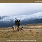 Auf Wandertour in Nordnorwegen