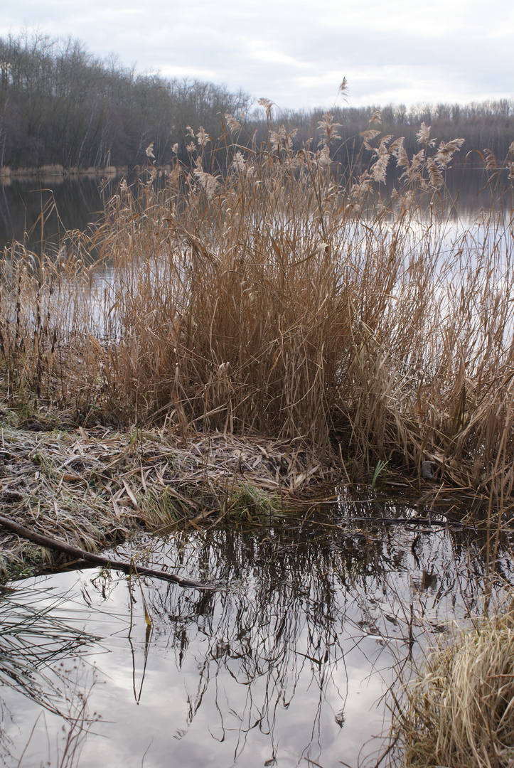 Auf Wanderung