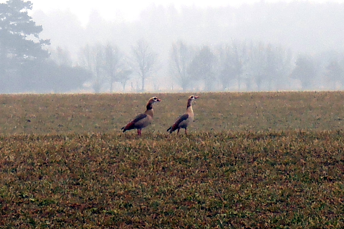 Auf Wanderung