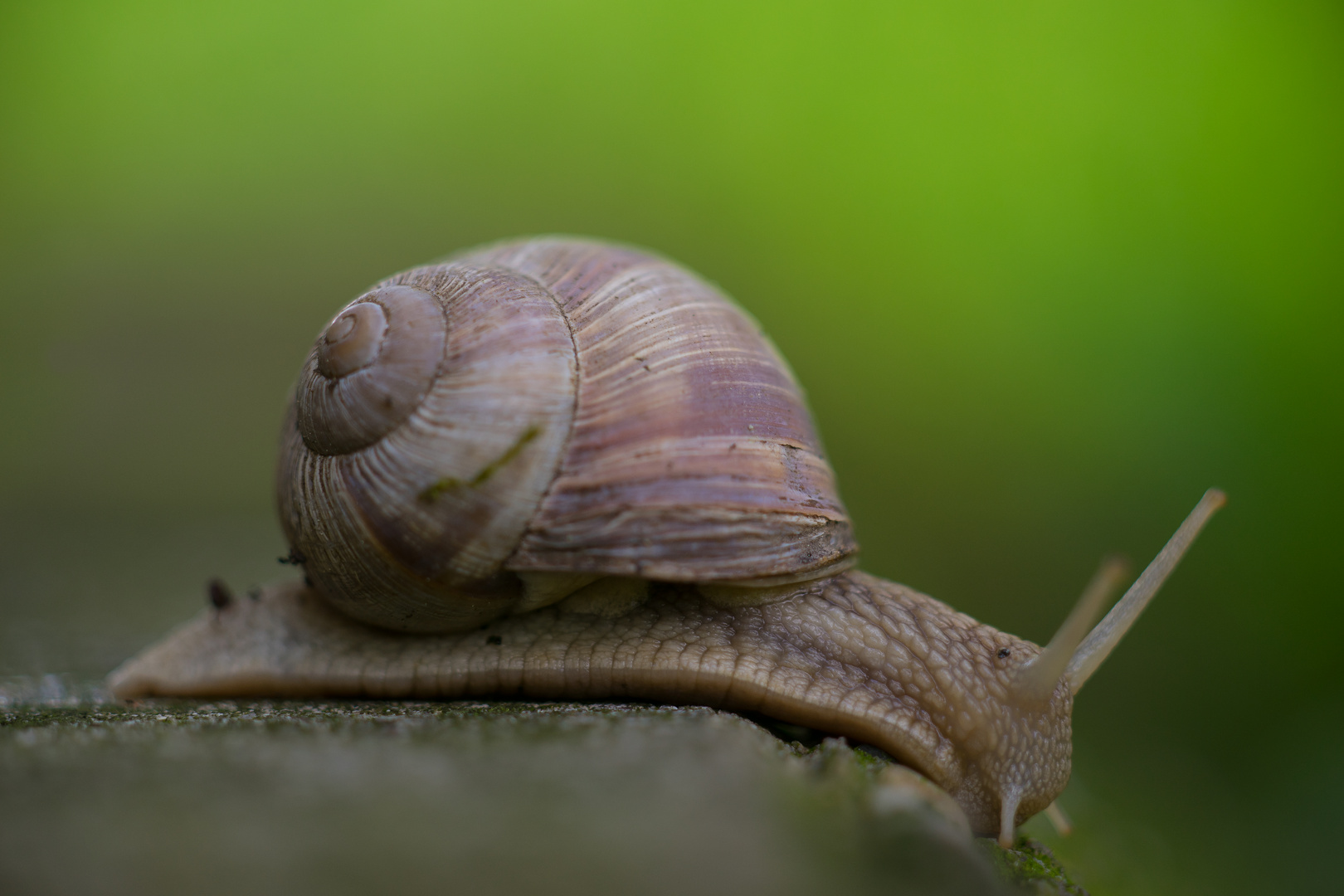 Auf Wanderung