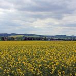 Auf Wanderung zu Hause