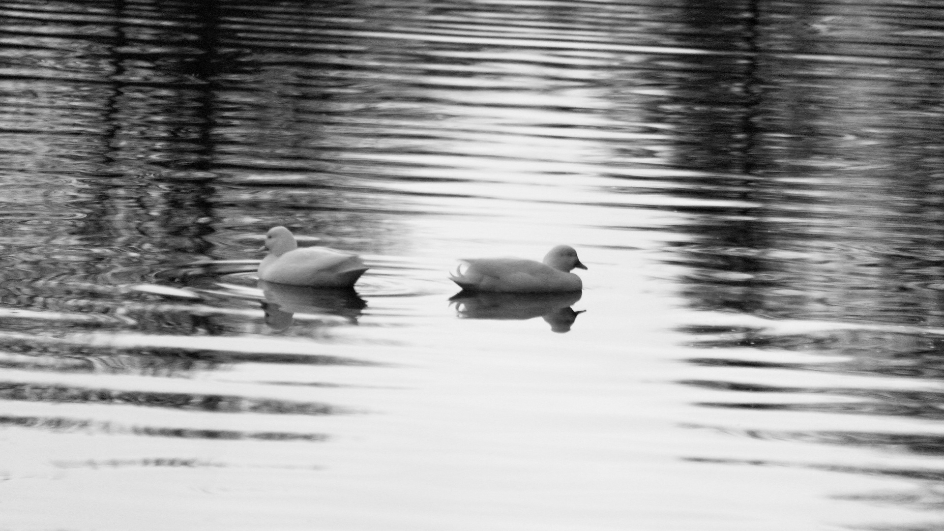 auf Wasser ... / on the water ...