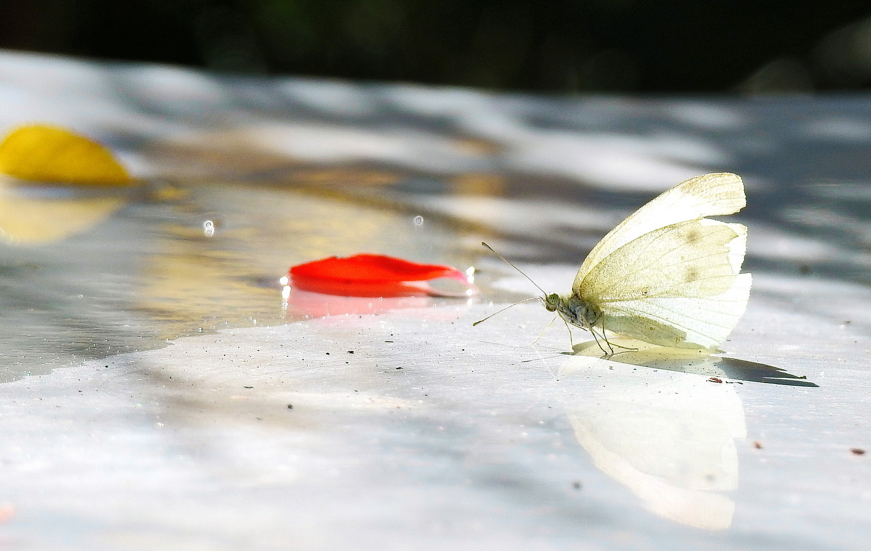 Auf Wassersuche ...