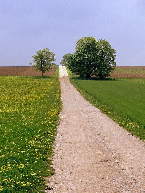 auf weiter Flur