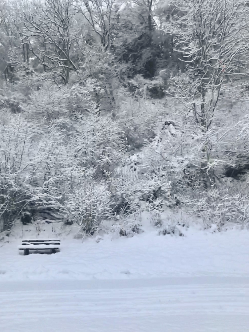 Auf weiter Flur nur Wald , Schnee Winter 