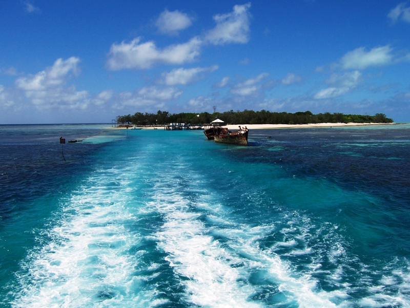 Auf Wiedersehen Heron Island