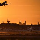 Auf Wiedersehen in Köln!