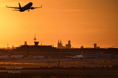 Auf Wiedersehen in Köln!