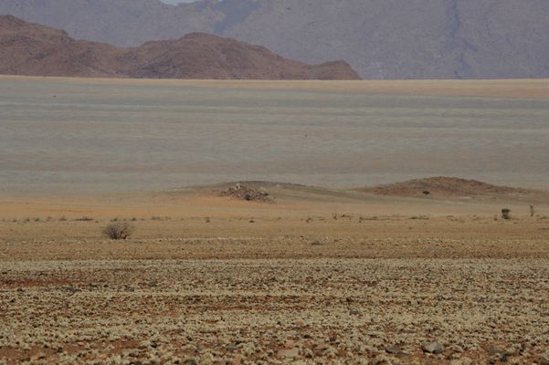 Auf Wiedersehen Wolwedans - Au revoir Wolwedans