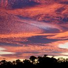 ... auf Wolke rot ...