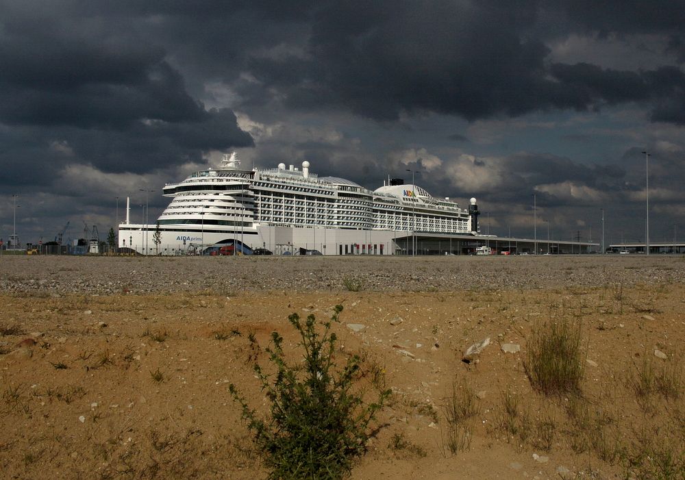 Auf Wüsten-Kreuzfahrt mit der Aida Prima