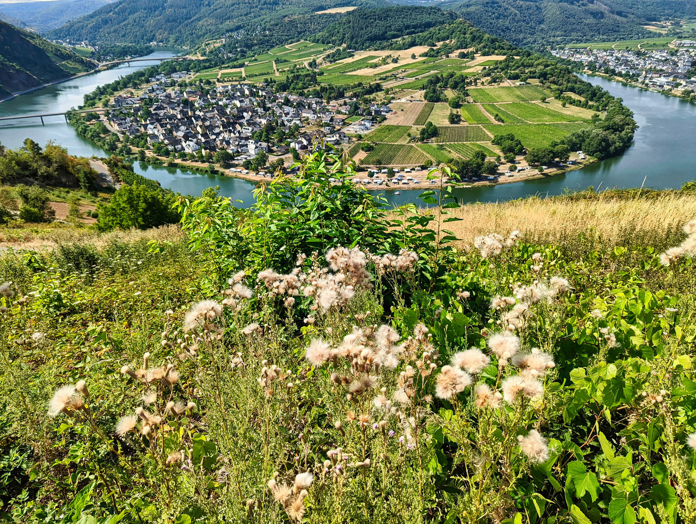 auf Wunsch hier in Farbe:Moselschleife