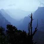 Auf Zion bei Regen und Wind....