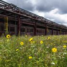 auf Zollverein in Essen gesehen