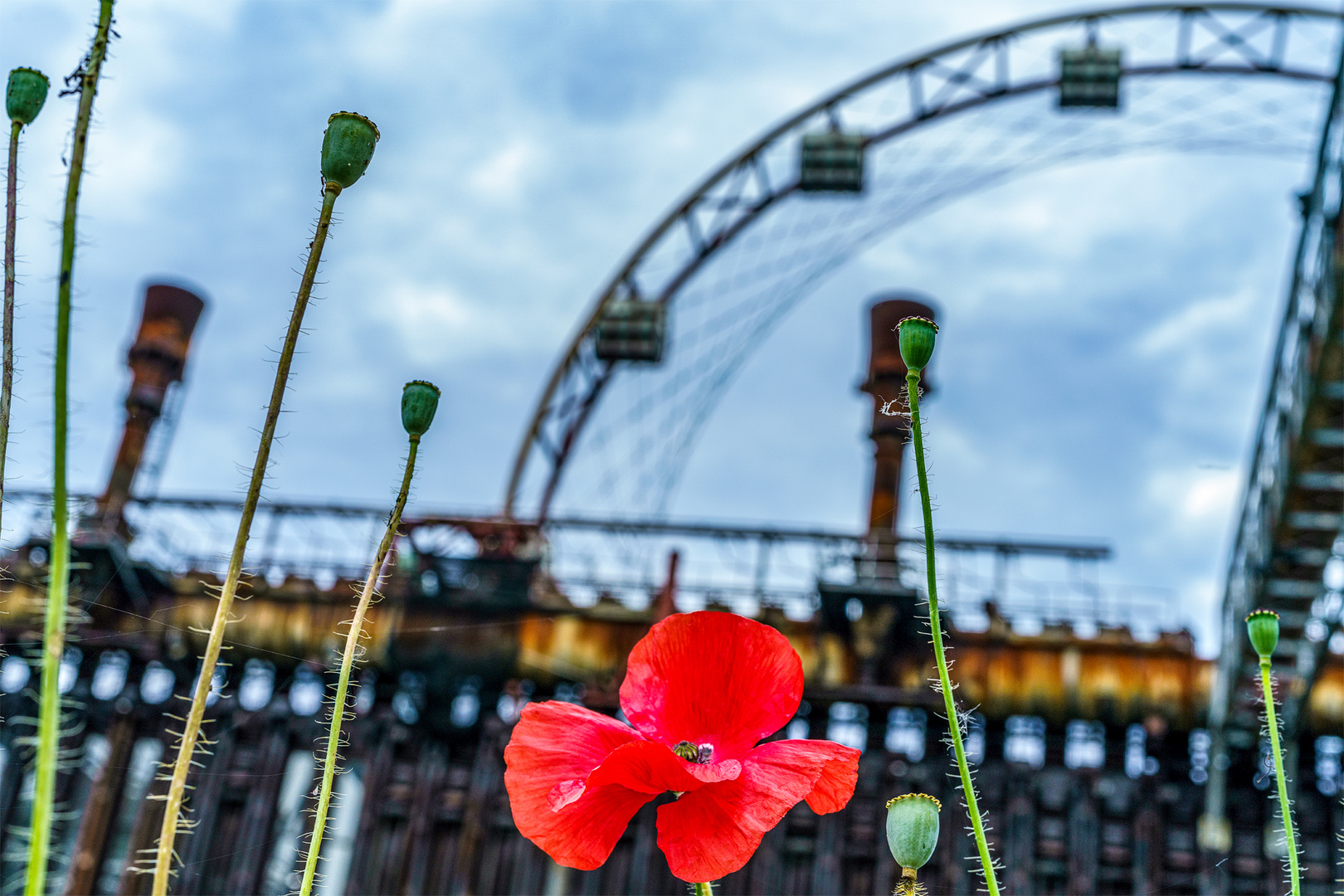 auf Zollverein vor der Kokerei......