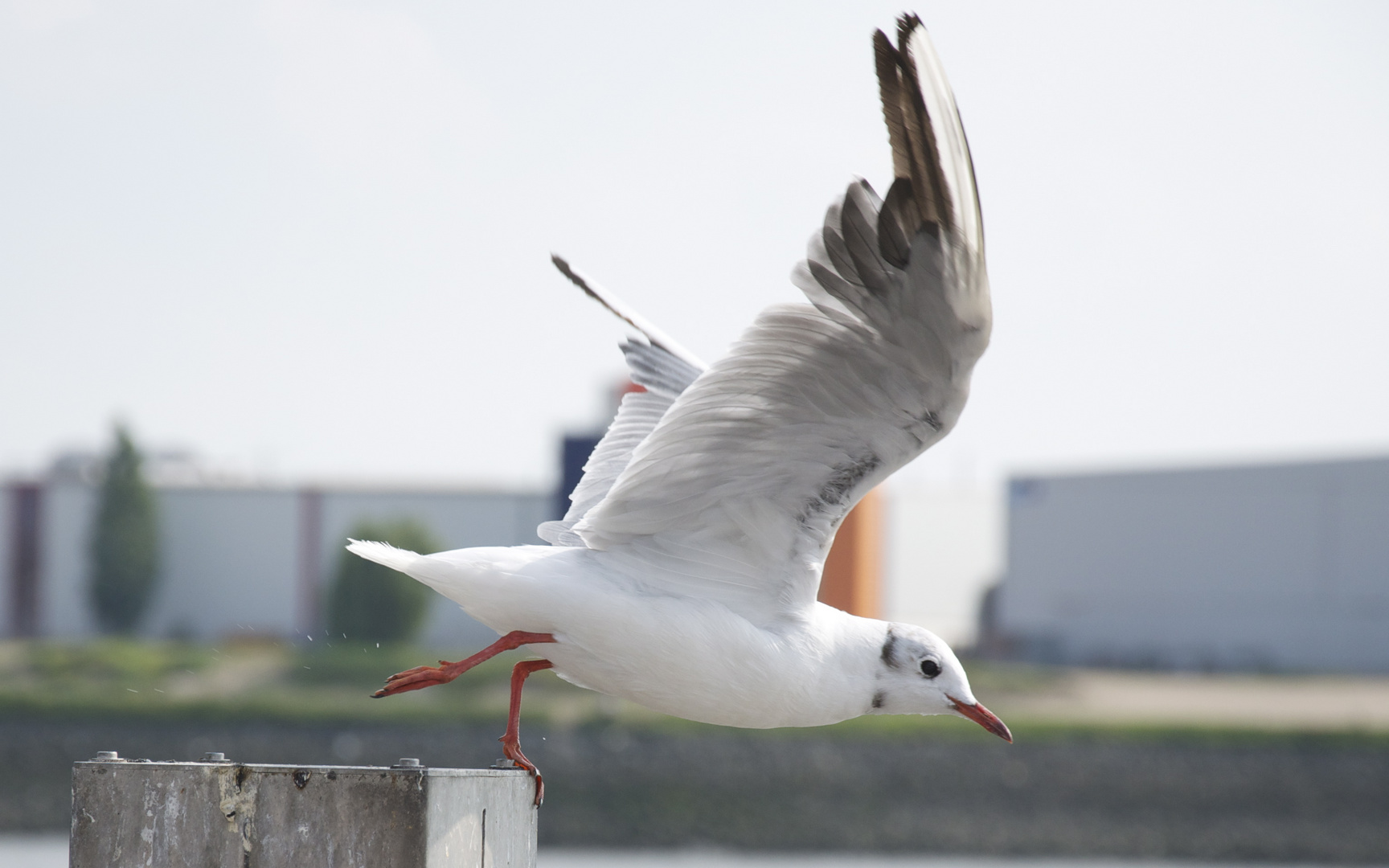 -auf zu neuen Möglichkeiten !