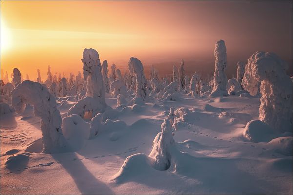 Auf zu neuen Welten ...