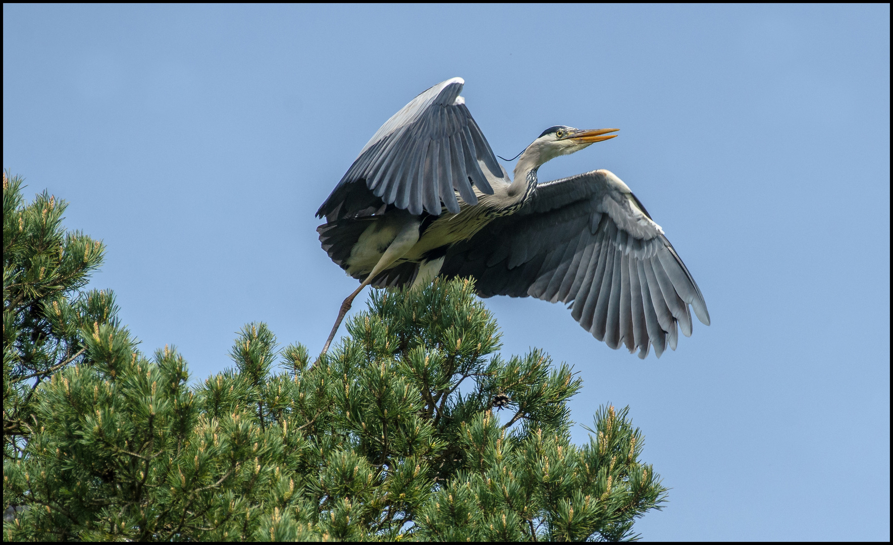 Auf zum Abflug 2