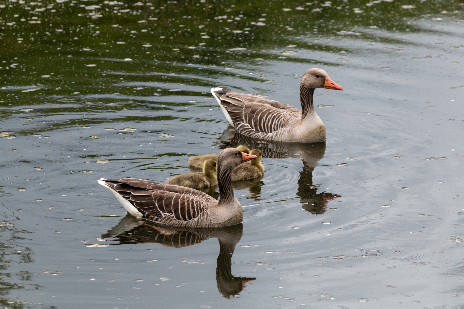 Auf zum anderen Ufer