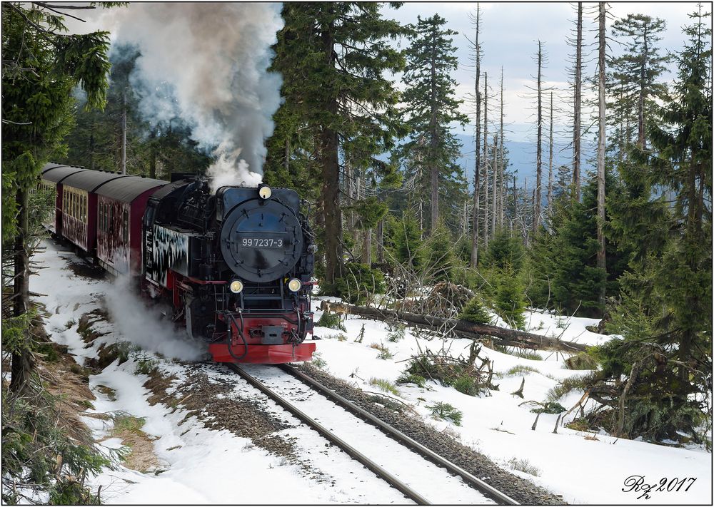 Auf zum Brocken