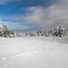 Auf zum Brocken!