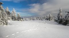 Auf zum Brocken!