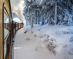 Auf zum Brocken!