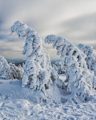 Auf zum Brocken!